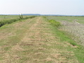 #7: View to the south from the confluence.