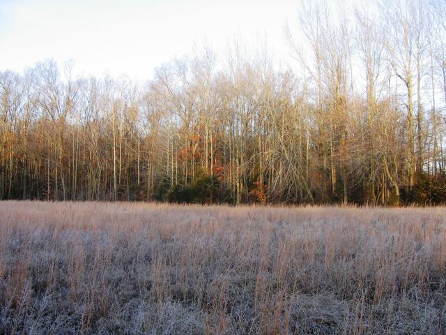 Looking to the West from the confluence