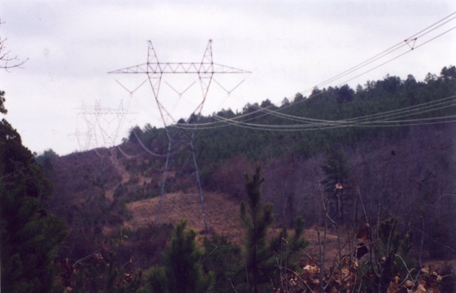 View ESE along Entergy Corp. high voltage line right-of-way