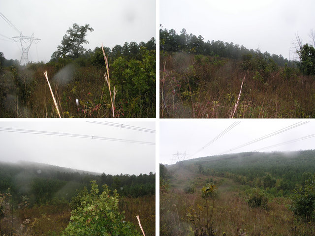 Clockwise from the upper left, looking northwest, northeast, southeast, and southwest through the rain from 35N 93W.