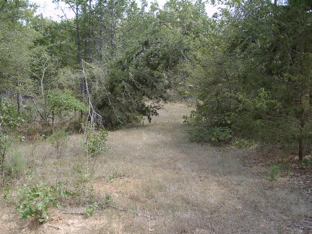 Walking path from the county road looking north