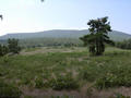 #3: A field about 150 feet due south of the confluence