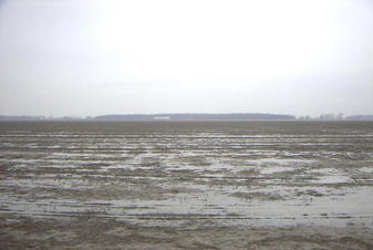 #1: View of the confluence 400 feet to the east, facing west.