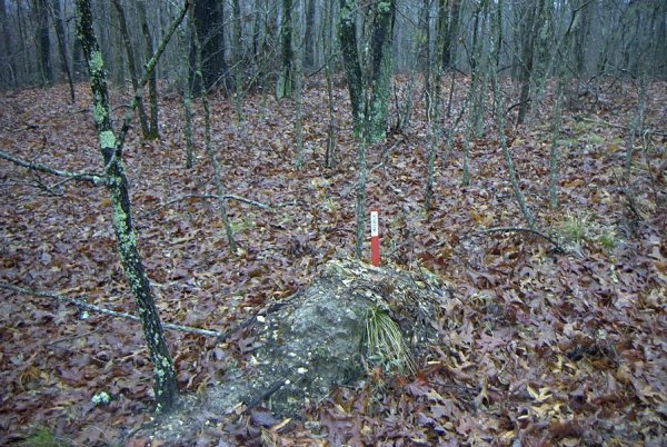 The confluence marked with a red stake