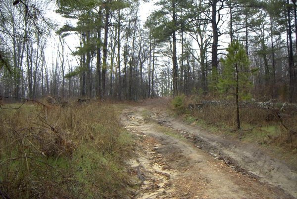 View from just south of the confluence