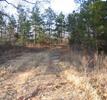 #7: Dirt road from Hwy 9 leading to the confluence