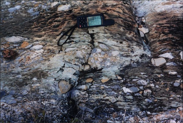 A darn neat limestone breccia.