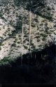 #4: A yucca plant on the way to the confluence.