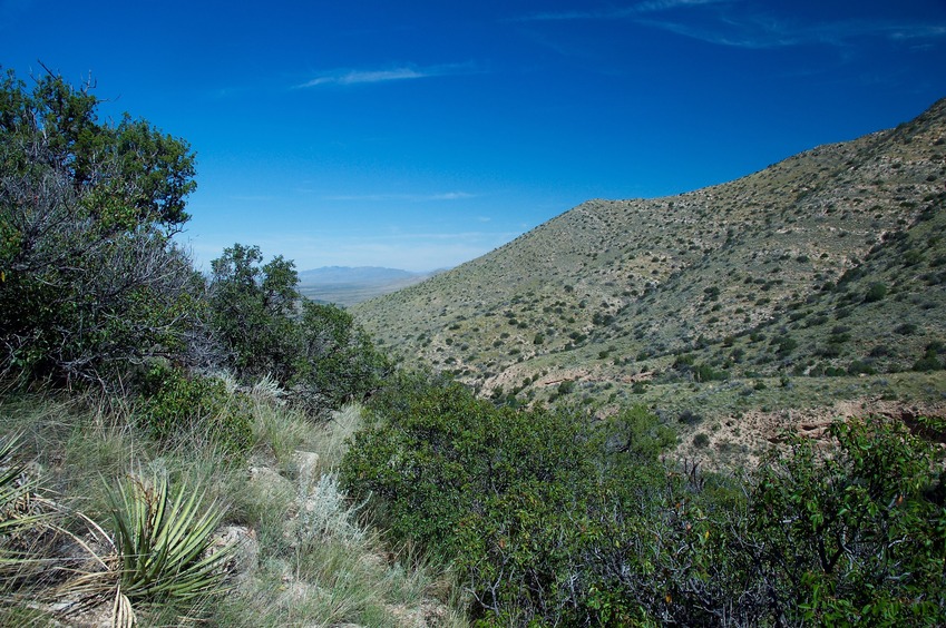 View North (along the hillside, towards I-10 (not visible here))