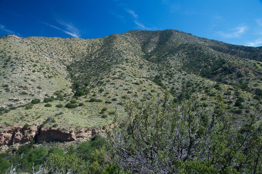 View East (across the drainage)