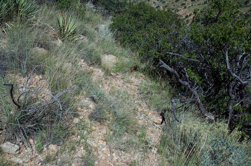 The confluence point lies on a steep, scrub-covered hillside