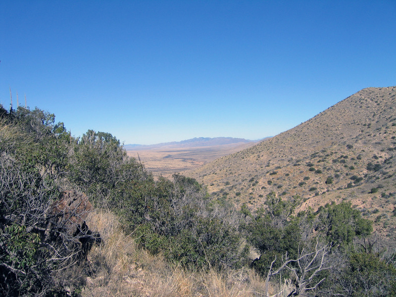 View north from confluence towards Mt Graham. Not much has changed in the 11 years since my last visit