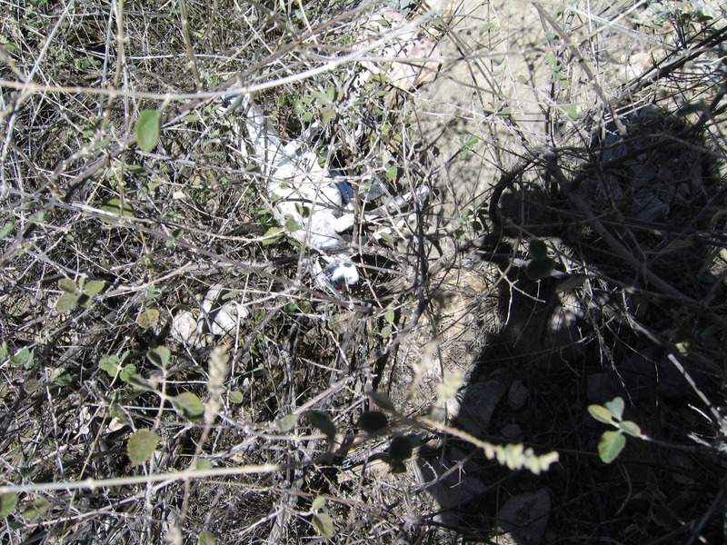 DJI quadcopter found! Safely caught and suspended within this bush for 50 days!