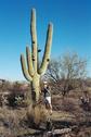 #4: A large sentinel overlooking the confluence.