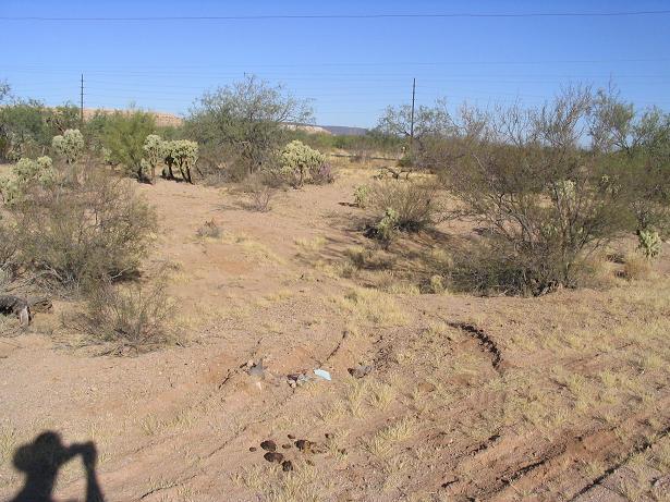 General view.  The confluence seemed to be marked by the scattering of items in ths photo, nearby some cattle 'sign'.