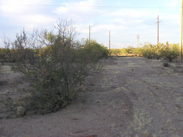 View north (towards Pima Mine Road)