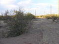 #2: View north (towards Pima Mine Road)