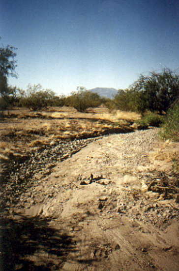 Looking south from the confluence