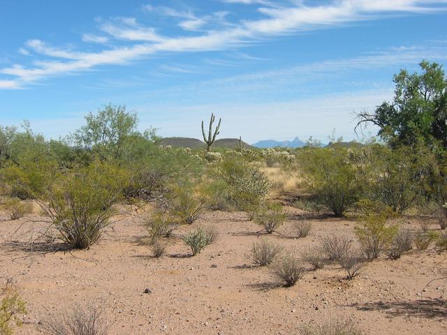 Baboquivari Peak to SE