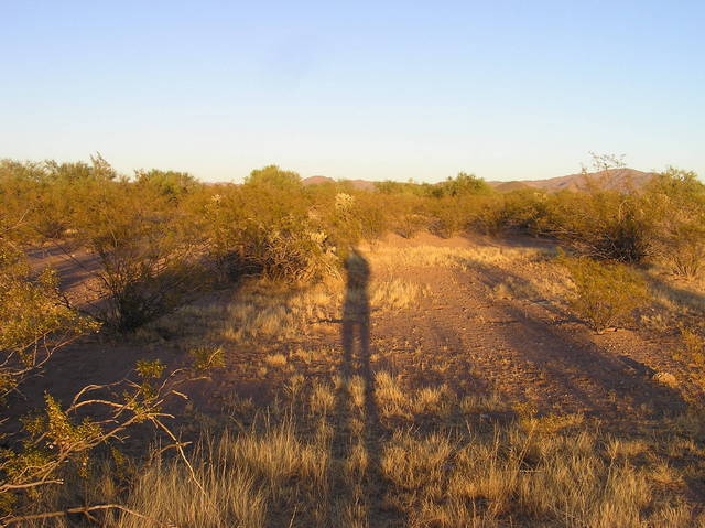 View east (of my shadow!)