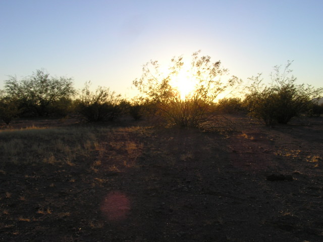 View west (into the setting sun)