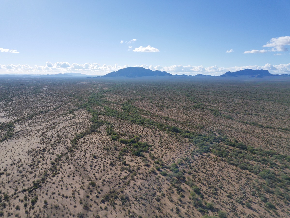 View West from 120 m above the point