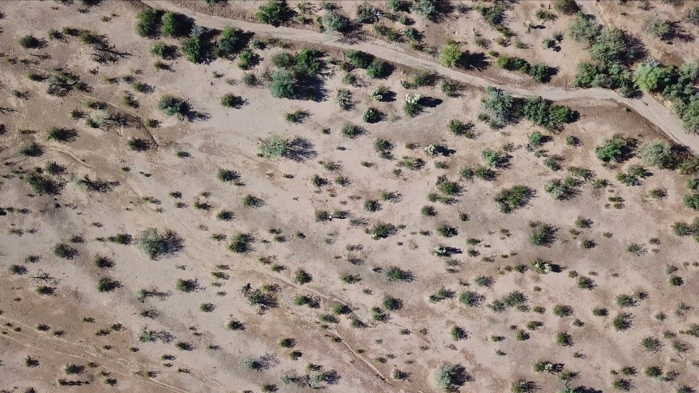 Looking down on the point from 120 m above