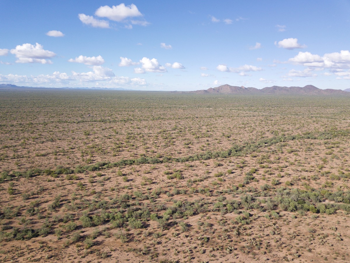 View North from 120 m above the point