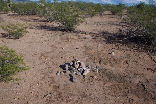 #5: The confluence point lies in a flat, sparsely-vegetated desert region