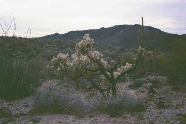 A view from the confluence point.