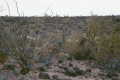 #2: Another view from the confluence point.  Note the variety of cactus.