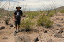 #5: The confluence is in the creosote bush