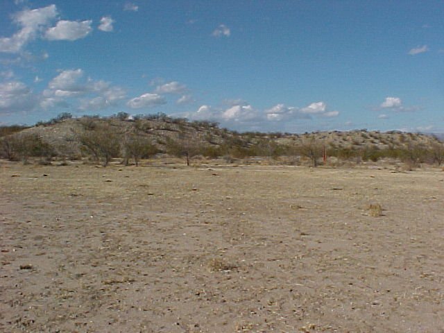 Looking north from confluence