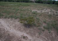 #5: The confluence point lies in a small, silty depression