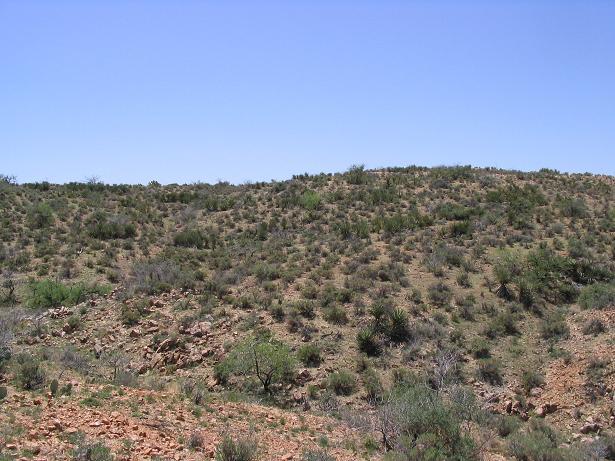 The general area of the confluence