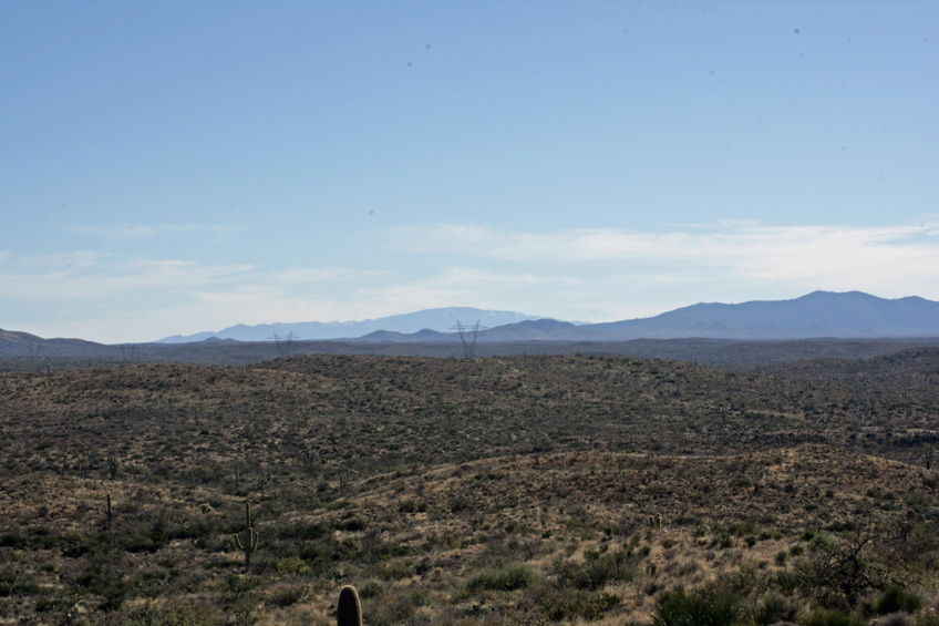 View to south