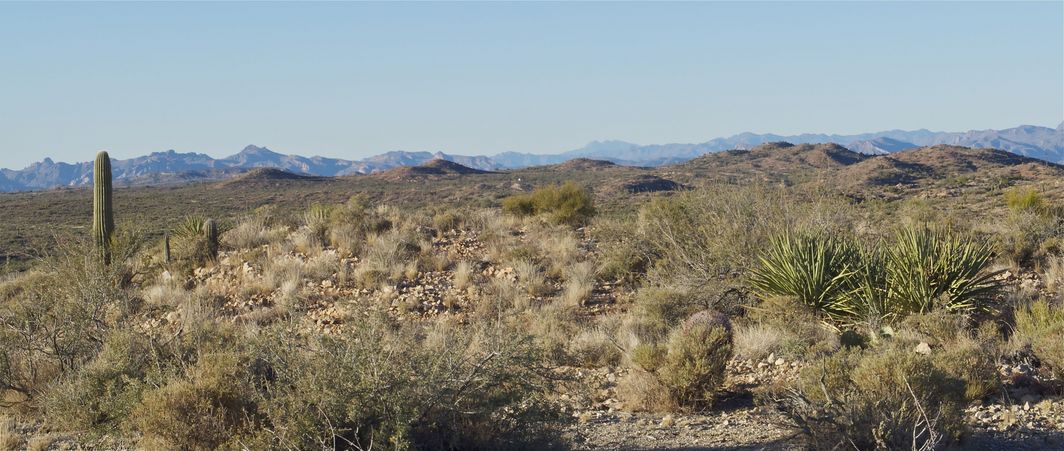 A panoramic view to the northeast, from this beautiful confluence point