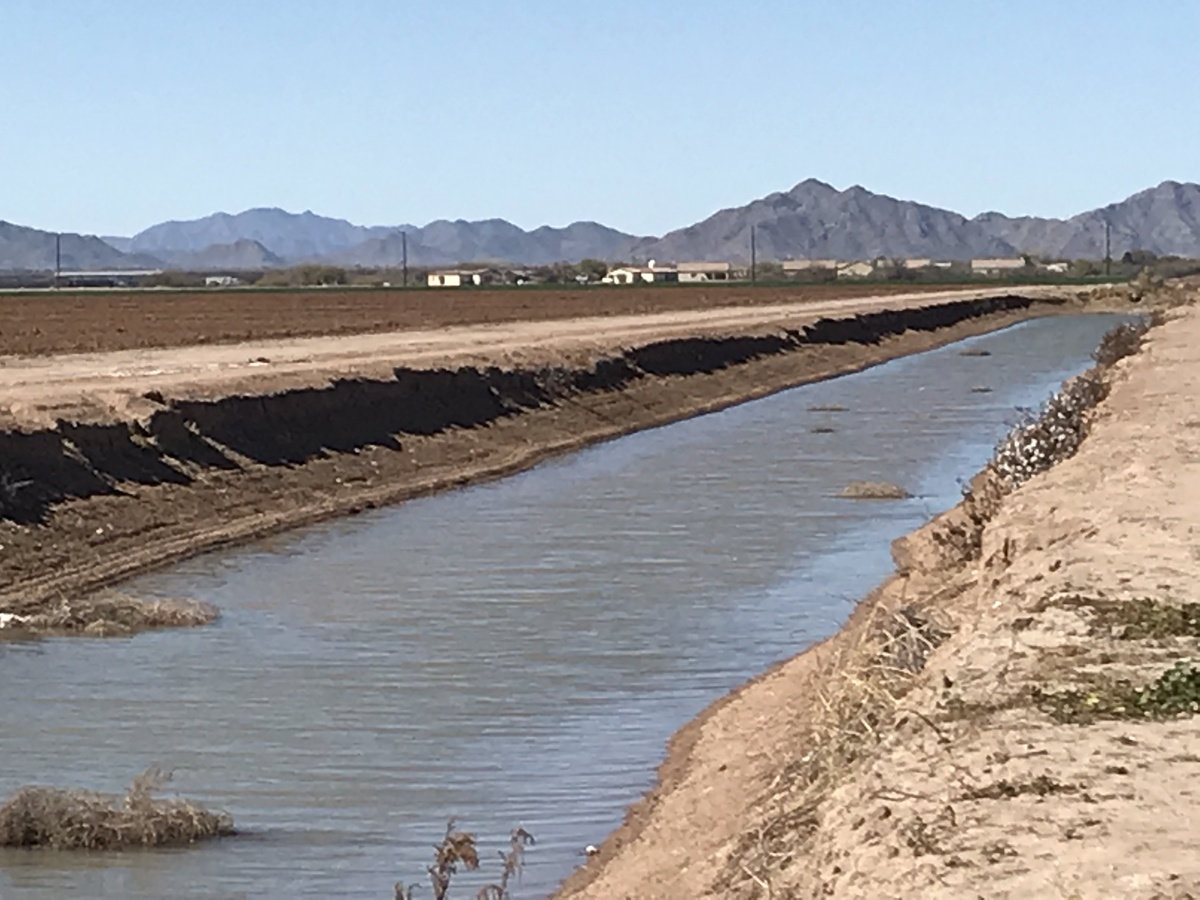 View of the larger ditch to the south of the confluence, looking west.