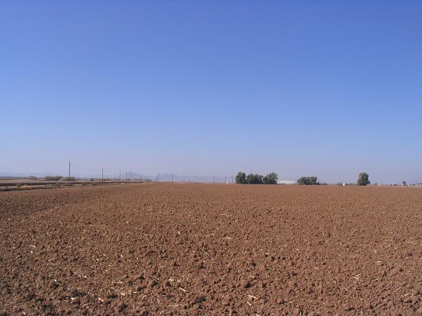 West view of some buildings.