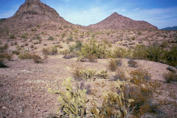 A view from the confluence point