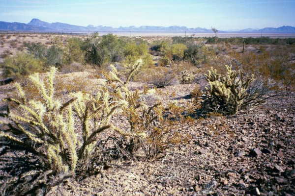 Another view from the confluence point