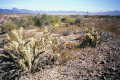 #2: Another view from the confluence point