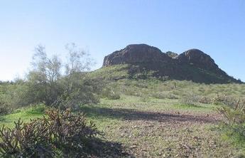 #1: South view from the NAD27 33N113W Confluence