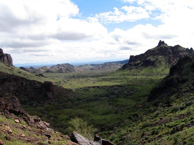 View east from the Castle Dome Mountains