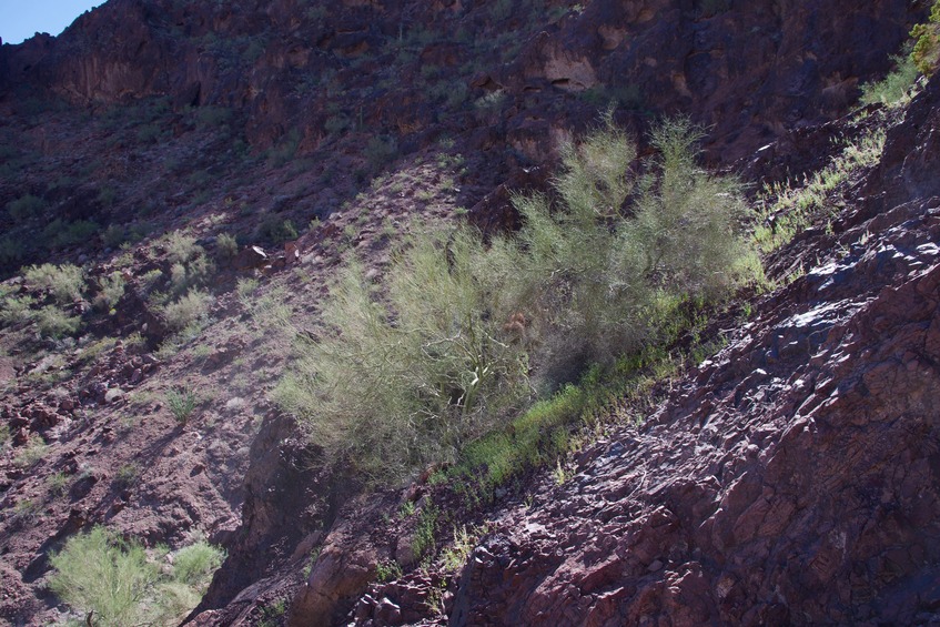 View South from 300 feet east of the point