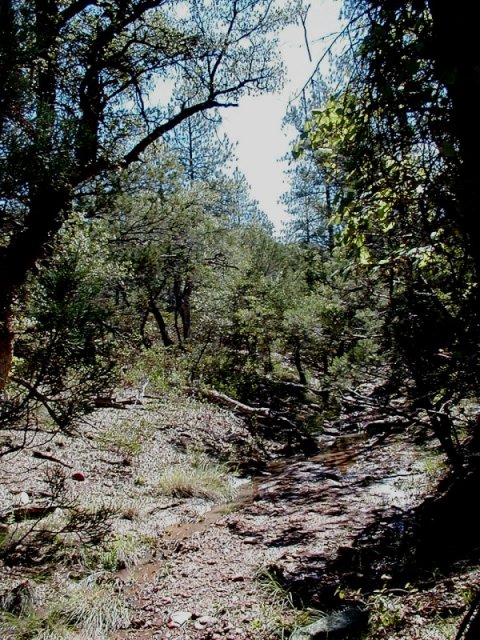 A trickle of water near the confluence