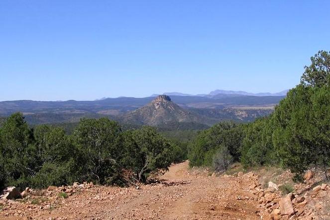 Jerky Butte as seen from the forest road toward the confluence.