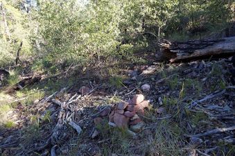 #1: The confluence point lies among downed trees on a north-facing slope.  (A rock cairn - left by previous visitors - marks the point.)