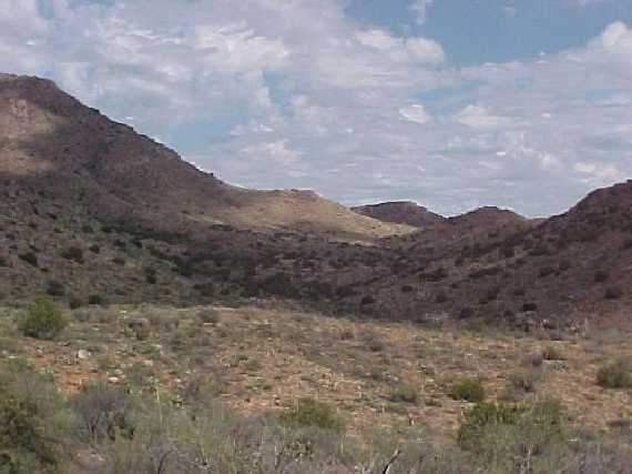 Looking North from the Confluence