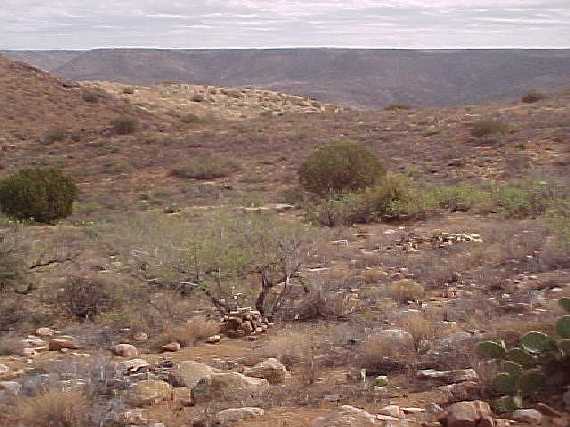 Looking East from the Confluence